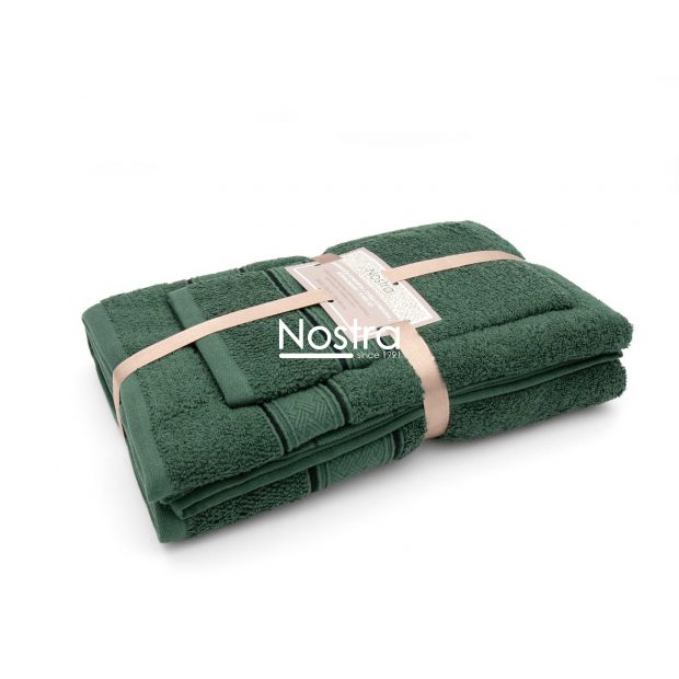 3 dalių rankšluosčių komplektas T0184 T0184-PINE GREEN 161